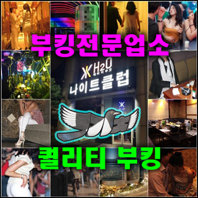 서울나이트 추천: 강남 청담 H2O에서의 특별한 경험